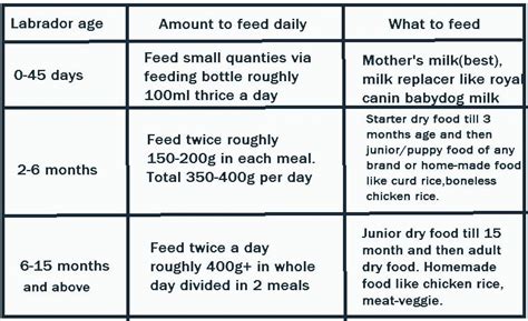 Complete diet plan for labrador puppies and dogs in india ...