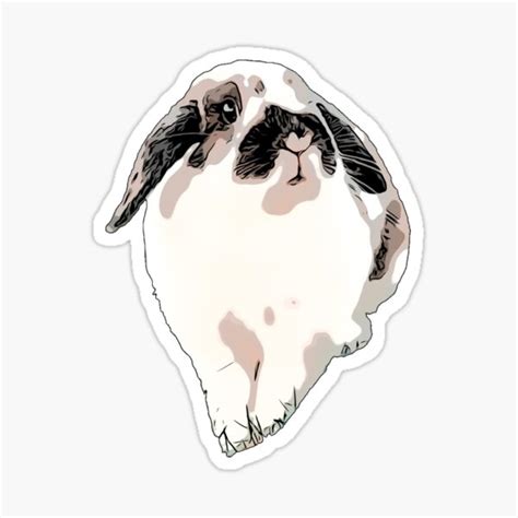 "Cute cartoon bunny sticker" Sticker for Sale by Elliekania | Redbubble