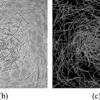 Quadrat image analysis processing: (a) original image; (b) after ...