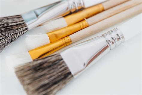 Exploring The Best Brushes for Painting on Canvas | Nova Color