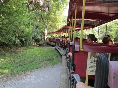 Jacksonville Zoo - tickets, prices, discount, animals to see, train ride