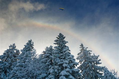 Winter rainbow stock photo. Image of winter, season, extreme - 11416608