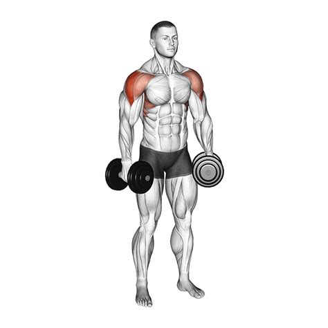 9 Best Dumbbell Push Exercises (with Pictures!) - Inspire US