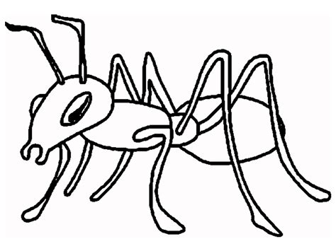 Coloring Pages | Ants Coloring Pages Your Toddler Will Love