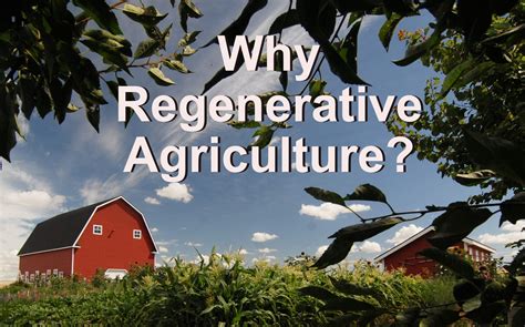 Why Regenerative Agriculture? - Understanding Ag