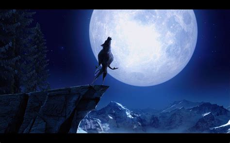 Werewolf Moon Howl | Оборотни, Кошки, Фазы луны