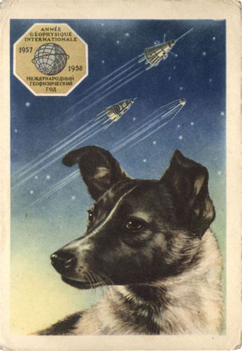 That Time Soviet Russia Sent Dogs Into Space | Soviet space dogs, Space dog, Russian space dogs