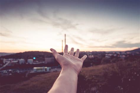 Hand Reaching The Sky Free Stock Photo | picjumbo