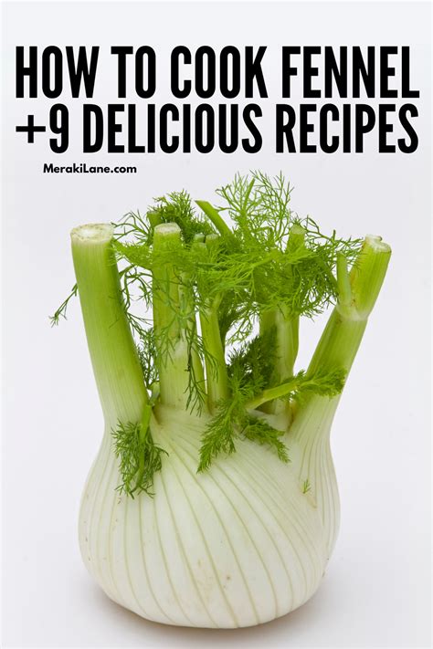 9 Easy Fennel Recipes for Digestion and Weight Management