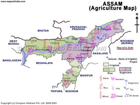 Cyber Guwahati--> Assam > Map> Agricultural map of assam,Cyber Guwahati ...