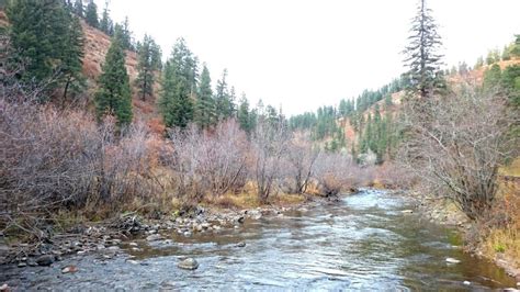 Pecos River - Dry Fly Fishing for Wild Trout | Trout Haven