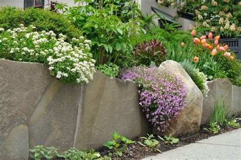 11 Stunning Cascading Plants for Retaining Walls and Hanging Baskets