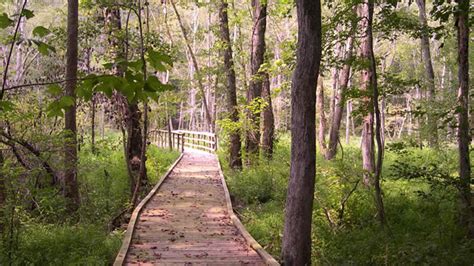 Francis Marion National Forest closes campgrounds, some day-use recreation