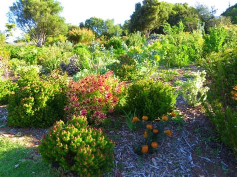 The Travelling Lindfields: Kirstenbosch - Is this the world's most ...