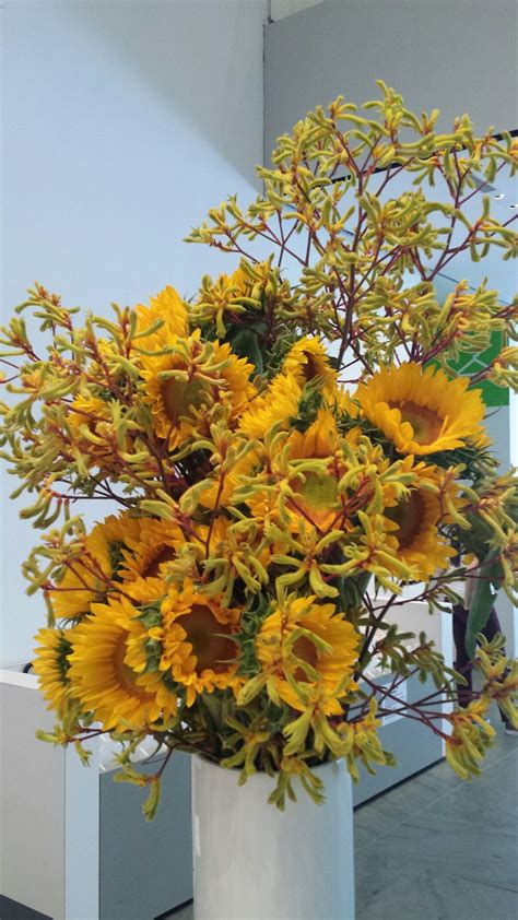 Kangaroo paw and sunflowers. Stunning all yellow Kangaroo Paw, Unique Flowers, Fall Wreath ...