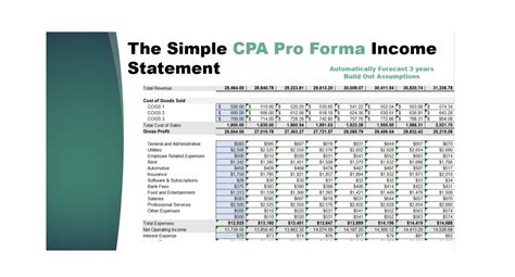 Pro Forma Income Statement Excel | Etsy