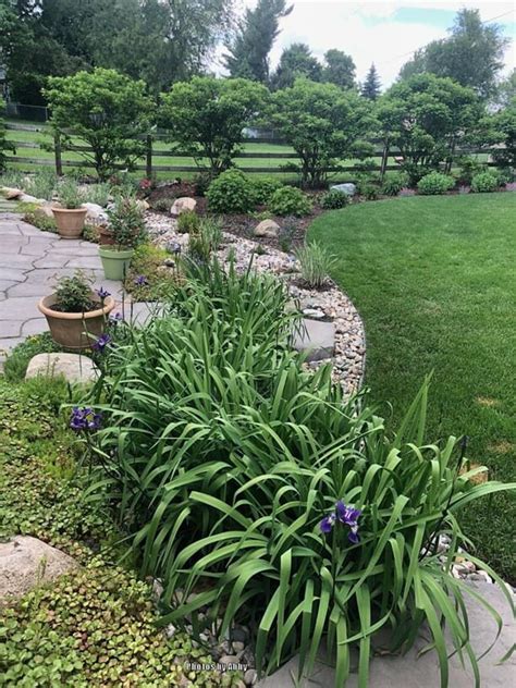 12 Easy Ways You Can Make a Drainage Ditch Look Good! - Grow Your Yard