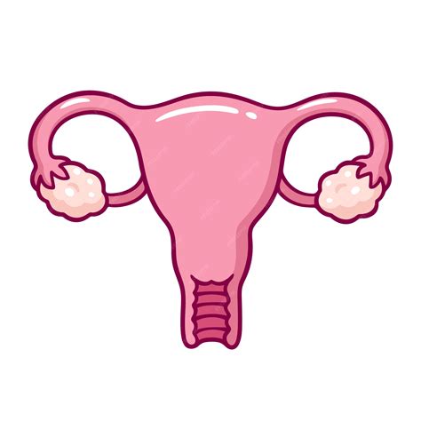 Premium Vector | Cartoon uterus drawing