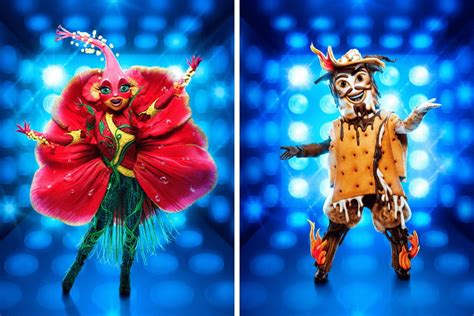 'The Masked Singer' Reveals Two More Season 10 Costumes: Hibiscus, S’more