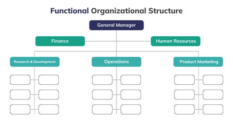 Functional Organizational Structure Diagram