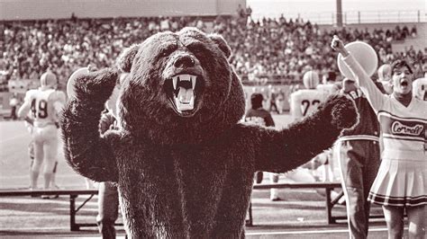 Fur Above: Big Red Bears Bring Touchdown to Life - Cornellians | Cornell University