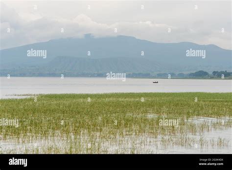 Beautiful Hawassa lake Stock Photo - Alamy