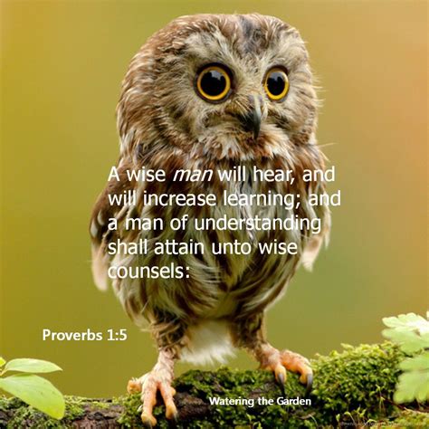 Wisdom | Inspirational scripture, Proverbs, Book of proverbs