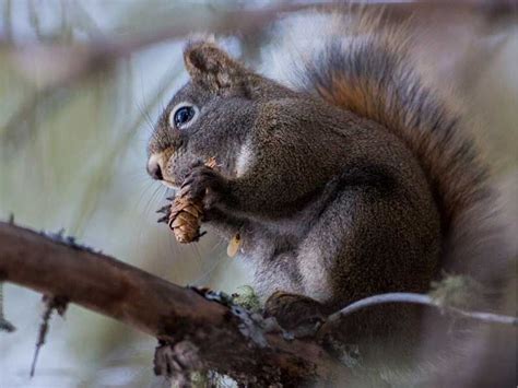 Interview Island Wildlife Sanctuary in Andaman and Nicobar, India | Wildlife sanctuary, Wildlife ...