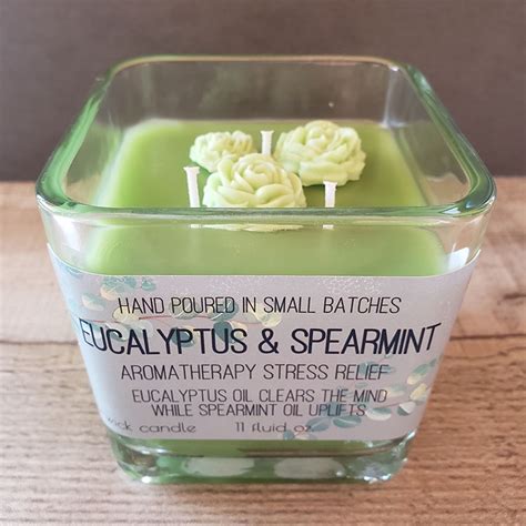 Eucalyptus & Spearmint – Wild Rose Bath Treats