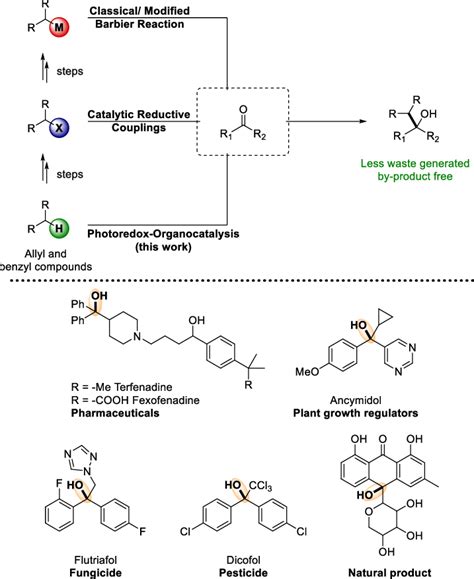 Overview of tertiary alcohol synthetic pathways and examples of its... | Download Scientific Diagram