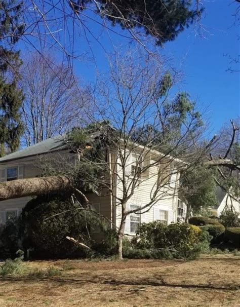 Homeowners Beware: A Tree Falling On Your Roof Is Different Than A Tree ...