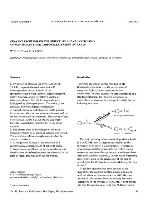(PDF) Current problems on the structure and classification of mammalian ...
