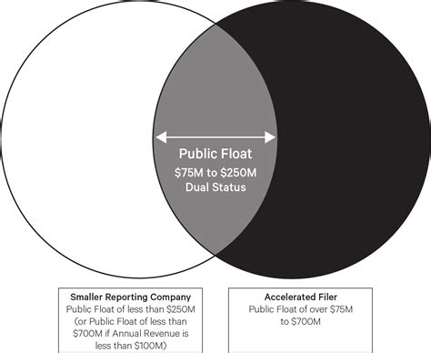 The Gray Area: Navigating Requirements for Issuers Sharing Smaller Reporting Company and ...