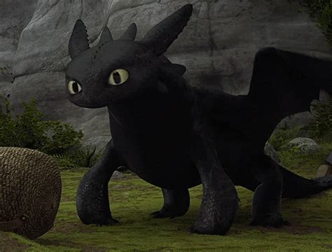 How To Train Your Dragon Httyd Edit GIF - Find & Share on GIPHY