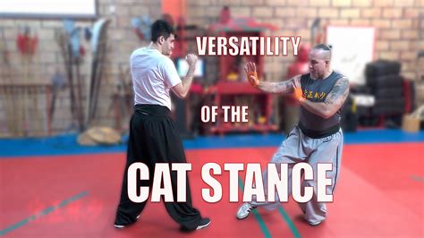 How to Use Kung Fu's Cat Stance For....GRAPPLING!!?? - YouTube