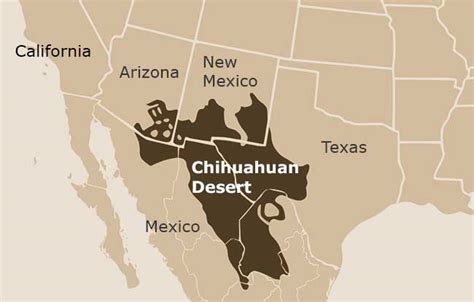 5 Facts About the Chihuahuan Desert – Explore Texas