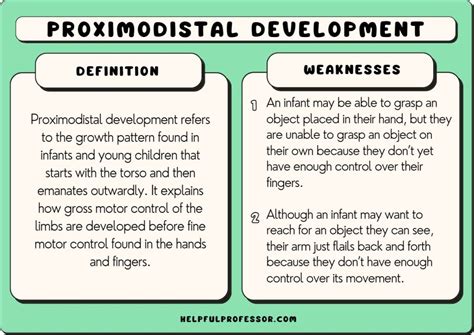 15 Proximodistal Development Examples (2024)