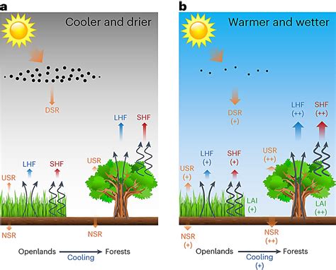 Climate models suggest curbing air pollution helps newly planted trees reduce local temperature