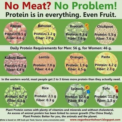 Proteins, Lysine and Methionine Amino Acids - Kelley Chiropractic