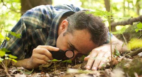 Environmental Outlook: "The Forest Unseen: A Year's Watch in Nature" by David Haskell - Diane Rehm