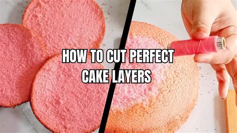 How to cut perfect cake layers|| how to layer a cake|| how to cut cake ...