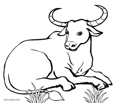 Cow Face Coloring Pages at GetColorings.com | Free printable colorings ...