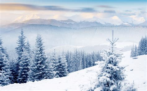 winter scenes | Winter wallpaper hd, Scene background, Winter desktop background