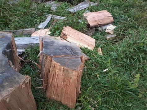 How to Chop Firewood: Tools, Techniques, & Troubleshooting Basics - Dengarden