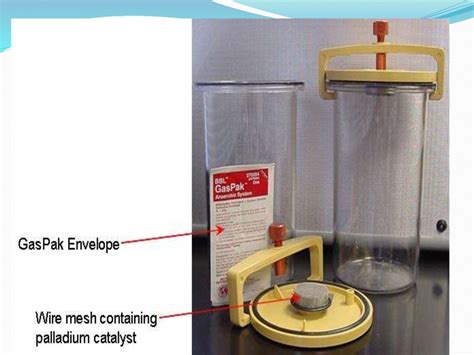 Anaerobic Culture Methods