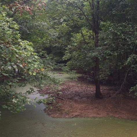 PEE DEE NATIONAL WILDLIFE REFUGE: VISIT AND PHOTOS - The Carolinian's ...