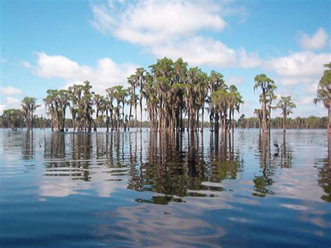 Lakeland, GA : Banks Lake photo, picture, image (Georgia) at city-data.com