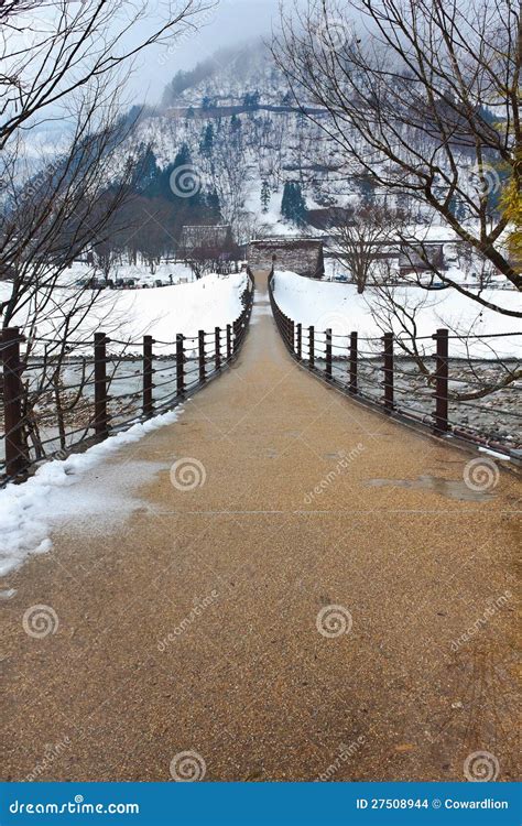 The Bridge To Ogimachi Village Stock Photo - Image of japan, pine: 27508944