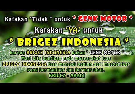 zalrizalarie: BRIGEZ INDONESIA