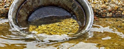 Gold Panning - Geology In